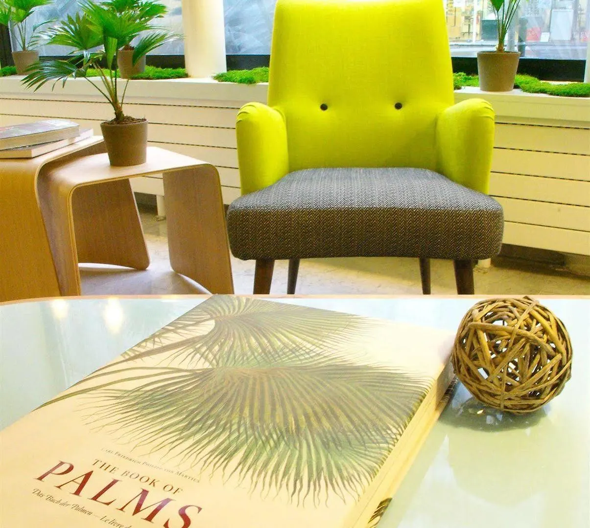 Palm - Astotel Paris